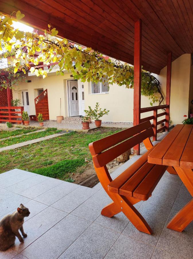 Vila Casa Piatra Craivii, Aproape De Alba Iulia Exteriér fotografie